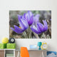 Crocus Wall Mural
