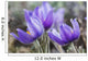 Crocus Wall Mural