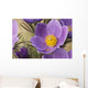 Crocus Wall Mural