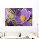 Crocus Wall Mural