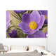 Crocus Wall Mural