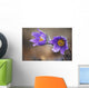 Purple crocus Wall Mural