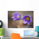 Purple crocus Wall Mural