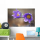 Purple crocus Wall Mural