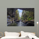 Little Huson Caves, near Woss Wall Mural
