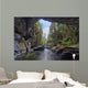 Little Huson Caves, near Woss Wall Mural