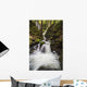 Lupin Falls, Strathcona Provincial Park Wall Mural