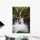Lupin Falls, Strathcona Provincial Park Wall Mural