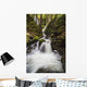 Lupin Falls, Strathcona Provincial Park Wall Mural