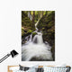 Lupin Falls, Strathcona Provincial Park Wall Mural
