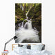 Lupin Falls, Strathcona Provincial Park Wall Mural