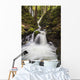 Lupin Falls, Strathcona Provincial Park Wall Mural