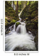 Lupin Falls, Strathcona Provincial Park Wall Mural