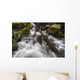 Lupin Falls, Strathcona Provincial Park Wall Mural
