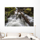 Lupin Falls, Strathcona Provincial Park Wall Mural