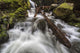 Lupin Falls, Strathcona Provincial Park Wall Mural