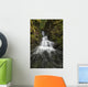 Unnamed stream and waterfall, Strathcona Provincial Park Wall Mural