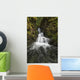 Unnamed stream and waterfall, Strathcona Provincial Park Wall Mural