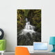 Unnamed stream and waterfall, Strathcona Provincial Park Wall Mural