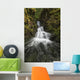 Unnamed stream and waterfall, Strathcona Provincial Park Wall Mural