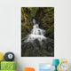 Unnamed stream and waterfall, Strathcona Provincial Park Wall Mural