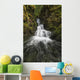Unnamed stream and waterfall, Strathcona Provincial Park Wall Mural