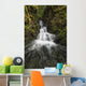 Unnamed stream and waterfall, Strathcona Provincial Park Wall Mural