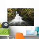 Unnamed stream and waterfall, Strathcona Provincial Park Wall Mural