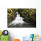 Unnamed stream and waterfall, Strathcona Provincial Park Wall Mural