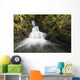 Unnamed stream and waterfall, Strathcona Provincial Park Wall Mural