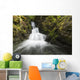 Unnamed stream and waterfall, Strathcona Provincial Park Wall Mural