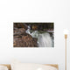 Myra Falls, Strathcona Provincial park Wall Mural
