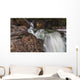 Myra Falls, Strathcona Provincial park Wall Mural