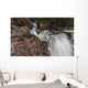 Myra Falls, Strathcona Provincial park Wall Mural