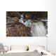 Myra Falls, Strathcona Provincial park Wall Mural