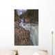 Myra Falls, Strathcona Provincial park Wall Mural
