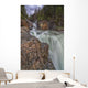 Myra Falls, Strathcona Provincial park Wall Mural