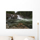 Lower Myra Falls, Strathcona Provincial Park Wall Mural