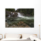 Lower Myra Falls, Strathcona Provincial Park Wall Mural