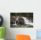 Lower Myra Falls, Strathcona Provincial Park Wall Mural