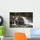 Lower Myra Falls, Strathcona Provincial Park Wall Mural