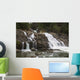 Lower Myra Falls, Strathcona Provincial Park Wall Mural