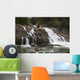 Lower Myra Falls, Strathcona Provincial Park Wall Mural