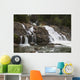 Lower Myra Falls, Strathcona Provincial Park Wall Mural