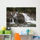 Lower Myra Falls, Strathcona Provincial Park Wall Mural