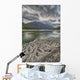 Roots Wall Mural