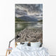 Roots Wall Mural
