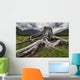 Old stump Wall Mural