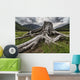 Old stump Wall Mural