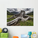 Old stump Wall Mural